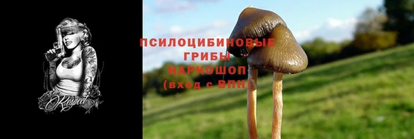 соль ск Сосновоборск