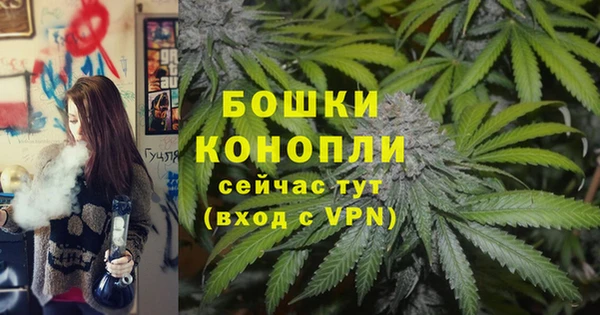 МДПВ Сосновый Бор