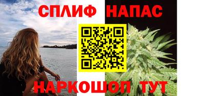 спиды Заводоуковск