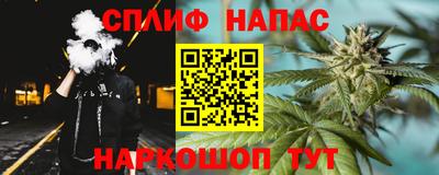 спиды Заводоуковск