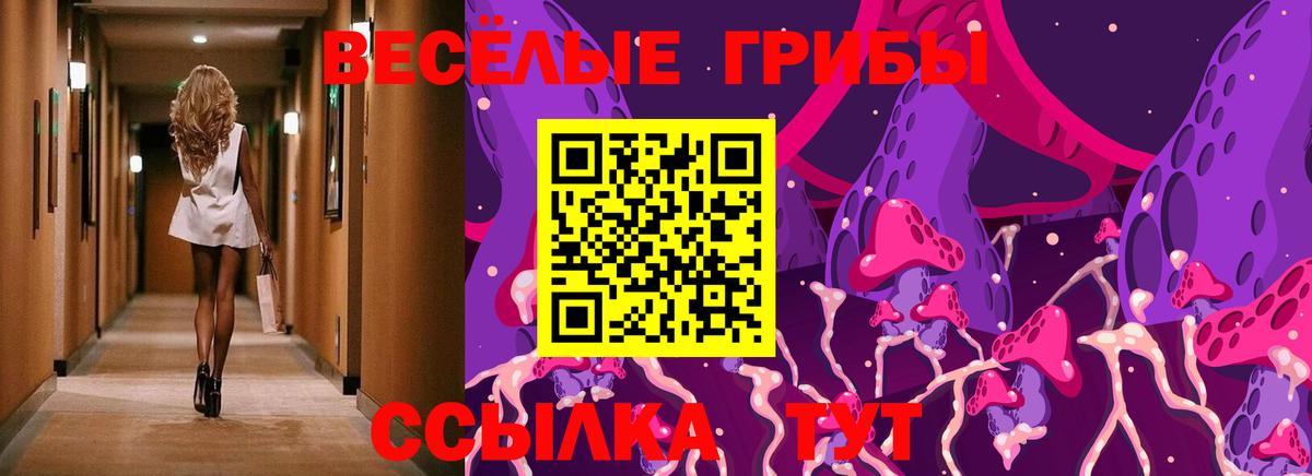 Назарово  Псилоцибиновые грибы мицелий  Вход с VPN 